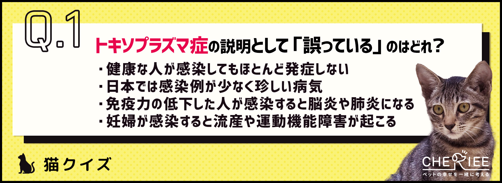 【クイズ】トキソプラズマ症を正しく知って適切な対策をしよう！