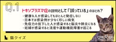 記事カテゴリ第5位