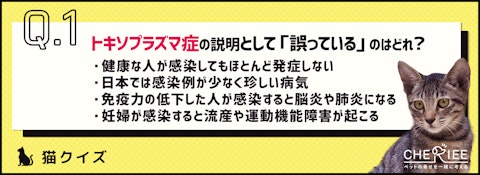 【クイズ】トキソプラズマ症を正しく知って適切な対策をしよう！のアイキャッチ画像