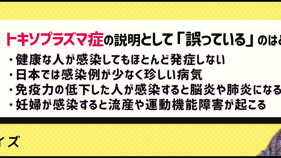 【クイズ】トキソプラズマ症を正しく知って適切な対策をしよう!