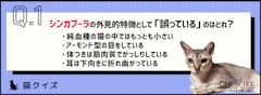 記事カテゴリ第3位