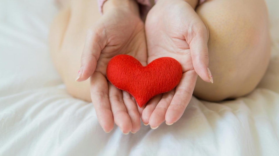 犬のヒート(生理)は人間とは全く違う!ヒート中のケアQ&Aも