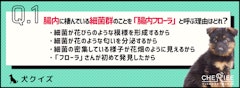 記事カテゴリ第4位