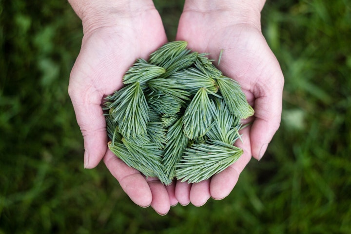 漢方薬,東洋医学,西洋医学,薬局,中国,生薬,治療