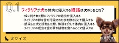 記事カテゴリ第4位