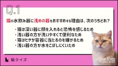 記事カテゴリ第3位