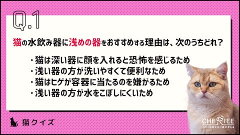 【クイズ】猫に好まれる水飲み器やその設置方法を知ろう！のアイキャッチ画像