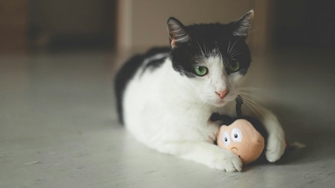 【獣医師監修】誤飲に注意!猫の消化内異物の危険性と対処法のアイキャッチ画像