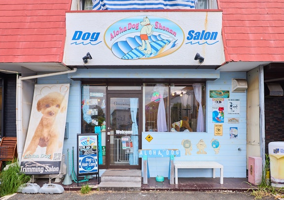 【神奈川・藤沢】明るくフレンドリーなトリミングサロン。「ALOHA DOG SHONAN」さんにインタビューのアイキャッチ画像