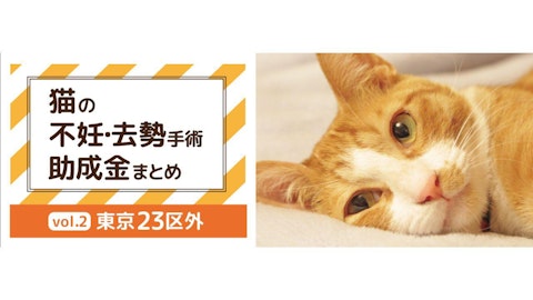 あなたの町の助成金はいくら？【東京23区外の猫の去勢・不妊手術の助成金（2024年7月現在）】のアイキャッチ画像