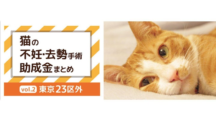 あなたの町の助成金はいくら？【東京23区外の猫の去勢・不妊手術の助成金（2024年7月現在）】のアイキャッチ画像