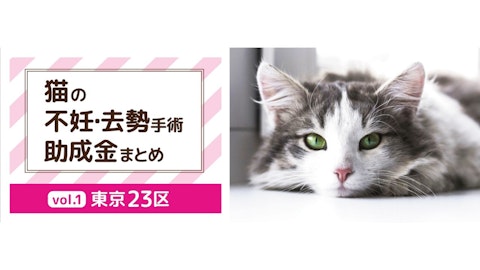 あなたの町の助成金はいくら？【東京23区内の猫の去勢・不妊手術の助成金（2024年7月現在）】のアイキャッチ画像