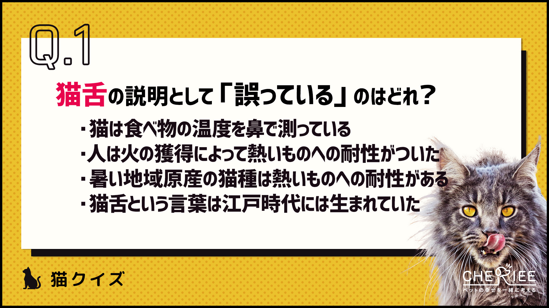【クイズ】猫は本当に猫舌なの？適切なご飯の温度とは