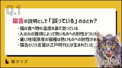 記事カテゴリ第5位