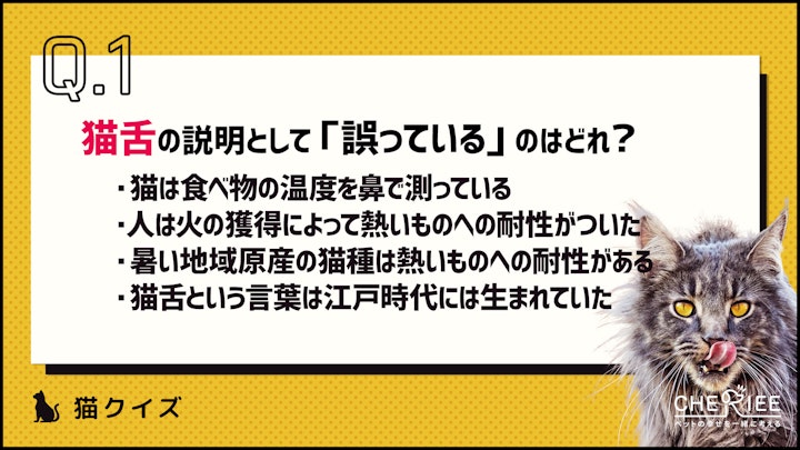 【クイズ】猫は本当に猫舌なの？適切なご飯の温度とはのアイキャッチ画像