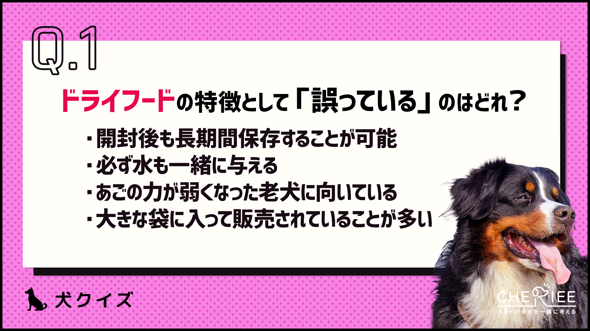 【クイズ】ドライフードとウェットフードの違いって知ってる？