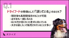 記事カテゴリ第3位