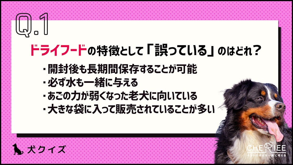 【クイズ】ドライフードとウェットフードの違いって知ってる?