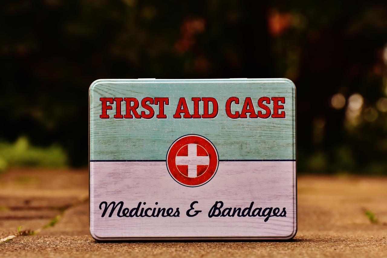 緊急時の備えは大丈夫？愛犬用の救急箱の作り方
