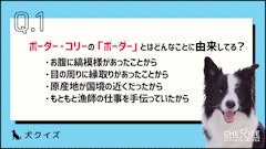 記事カテゴリ第3位