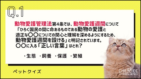 【クイズ】9月20日から9月26日まで動物愛護週間！それって何？のアイキャッチ画像