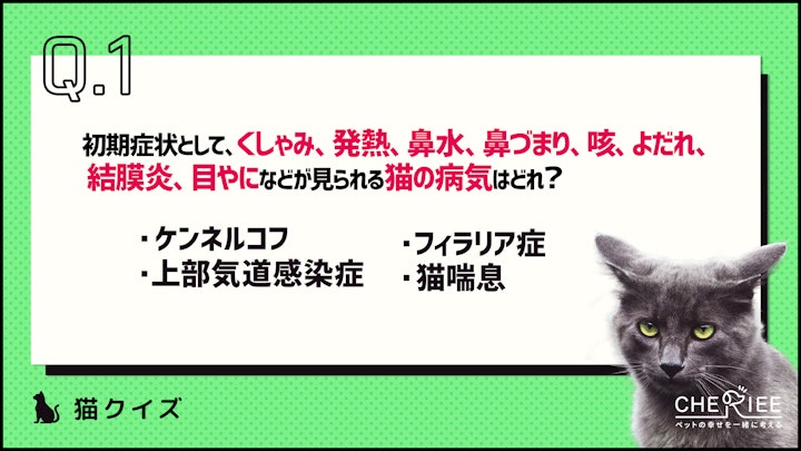 【クイズ】秋に気を付けたい猫の病気や体調不良のアイキャッチ画像