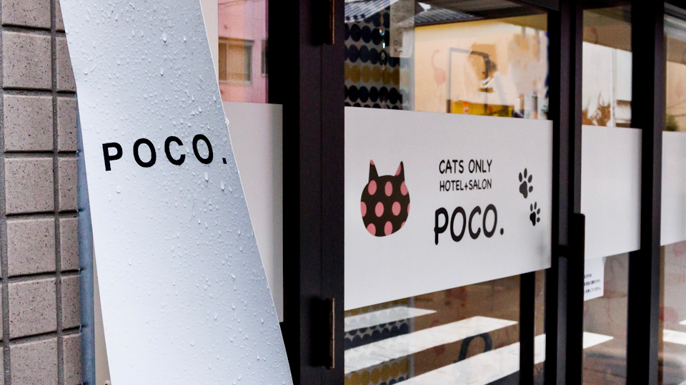 【東京・江東】猫専門のトリミングサロン&ホテル「POCO.」さんにインタビュー