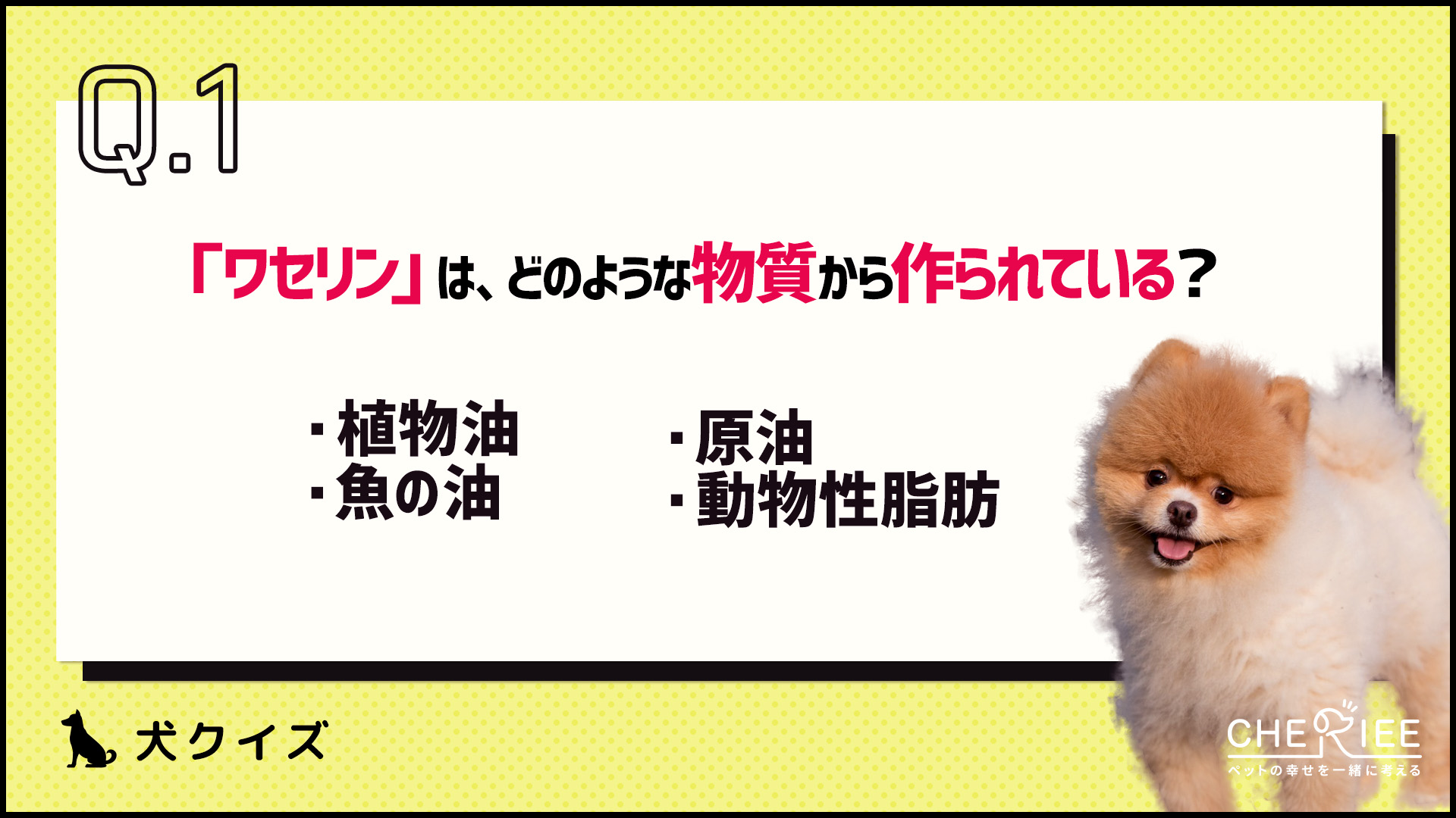 【クイズ】ワセリンを使った肉球ケア！冬の乾燥から愛犬を守る