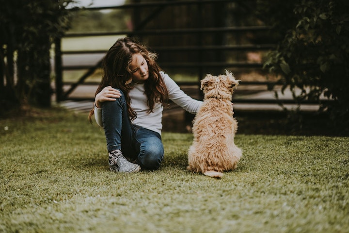 犬,子ども,人畜共通感染症,咬傷事故