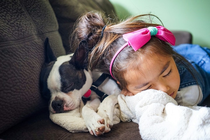 犬,子ども,人畜共通感染症,咬傷事故