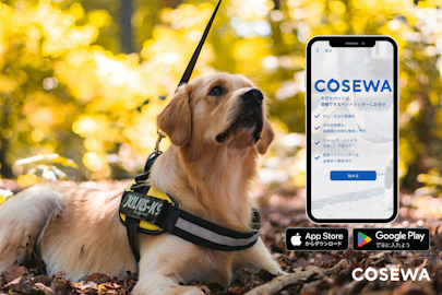 新サービス「Cosewa」、サービスリリースのお知らせのアイキャッチ画像