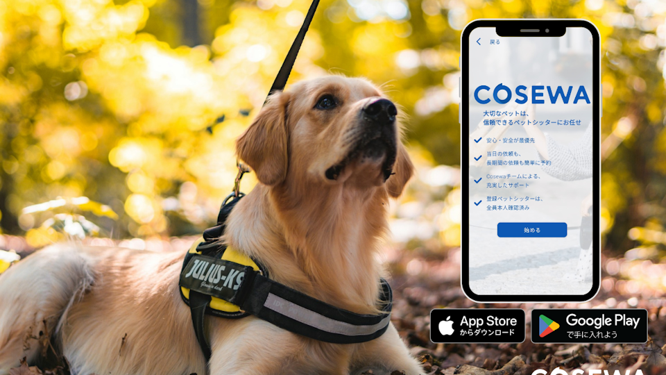 新サービス「Cosewa」、サービスリリースのお知らせ