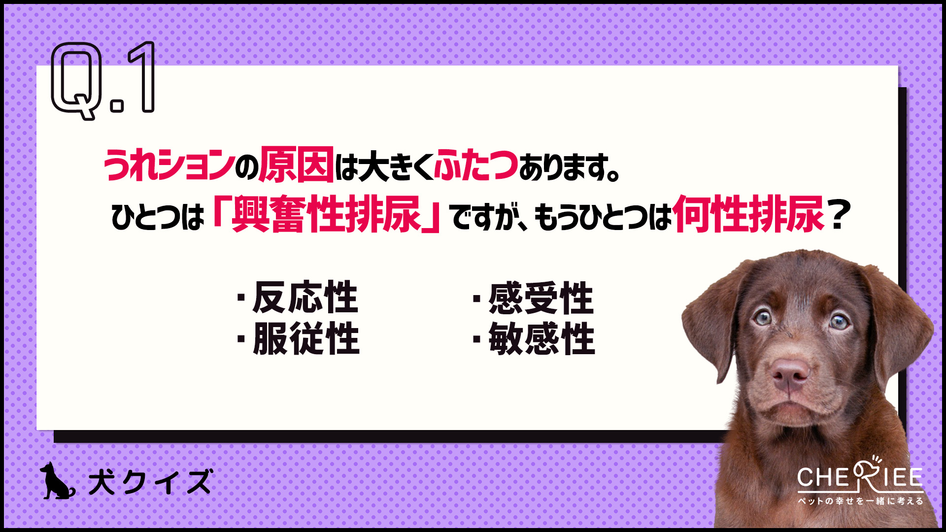【クイズ】うれションは治る？原因を正しく知って対策しよう！