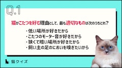 おすすめ記事1