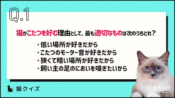 【クイズ】こたつ好きの猫のために！注意点や安全な使用方法を学ぼうのアイキャッチ画像