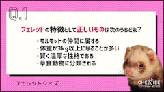 記事カテゴリ第1位