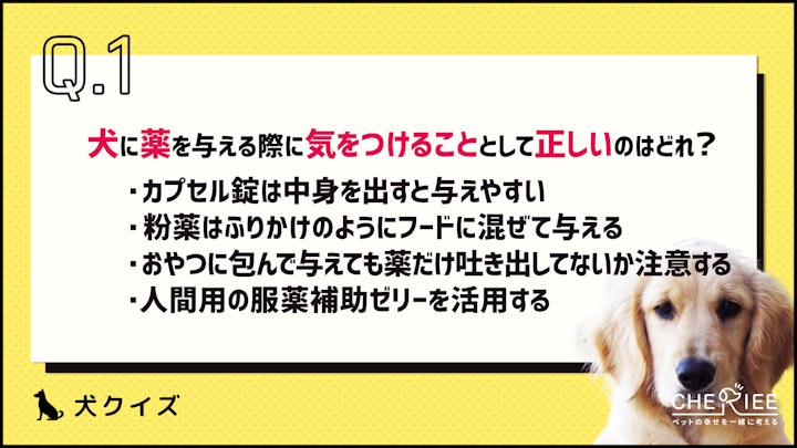 【クイズ】犬に薬を飲ませるコツは？工夫して上手に飲ませようのアイキャッチ画像