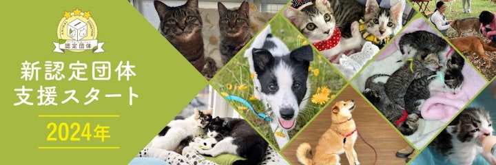 イヌやネコの動物福祉向上に取り組む6団体を新たに認定! 活動を支援するためのオンライン寄付受付を12月2日よりスタートのアイキャッチ画像