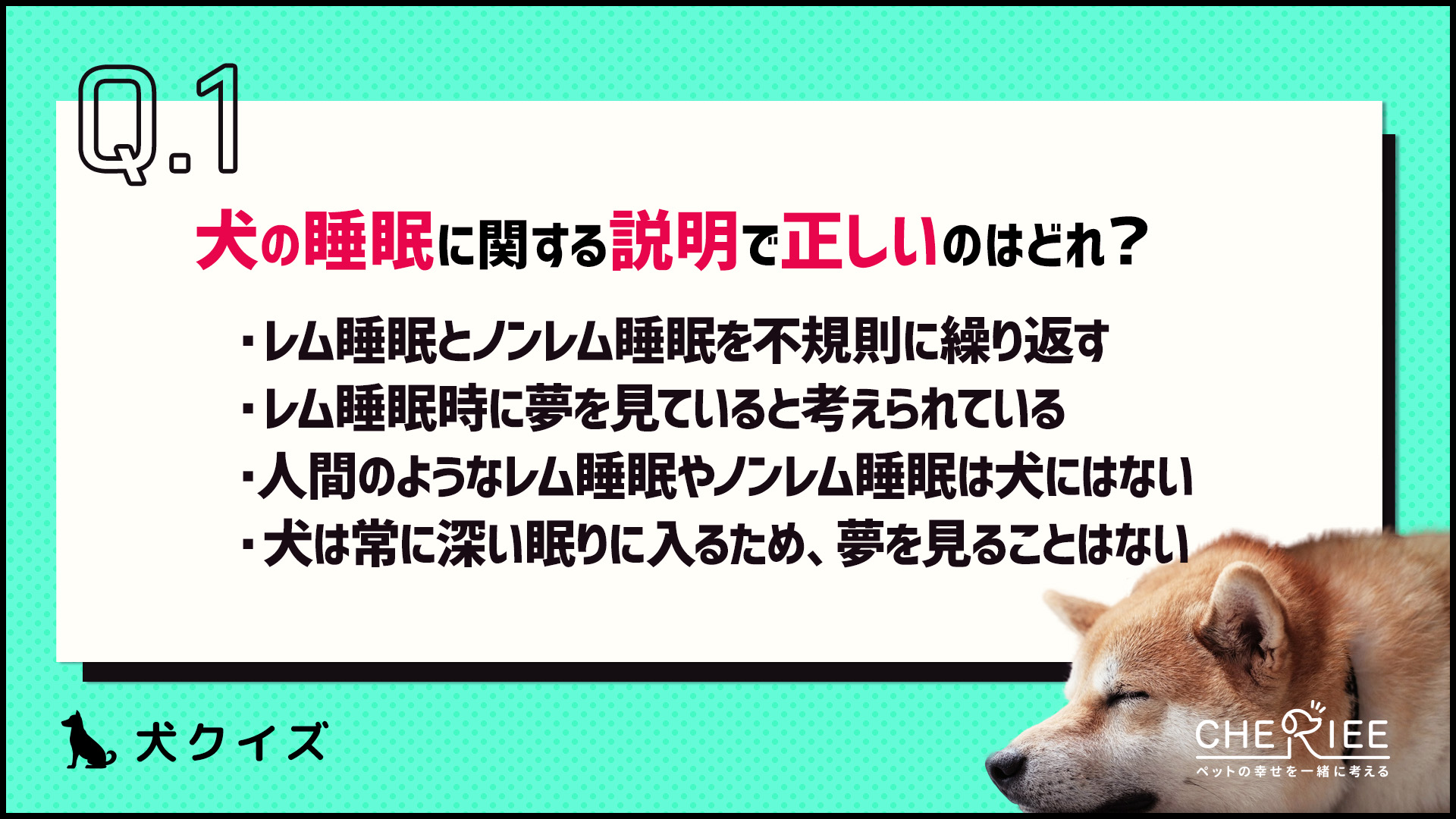【クイズ】愛犬の眠りの質を高めるために！知っておきたい睡眠の雑学