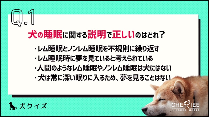 【クイズ】愛犬の眠りの質を高めるために！知っておきたい睡眠の雑学のアイキャッチ画像