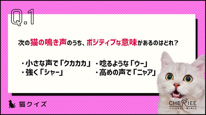 【クイズ】鳴き声で猫の気持ちがわかる？サイレントニャーとは？のアイキャッチ画像