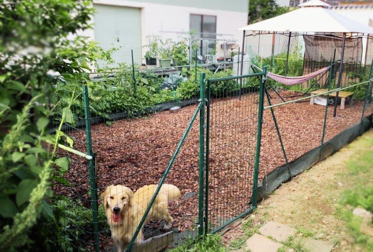 お家のお庭、ドッグランにしてみませんか？