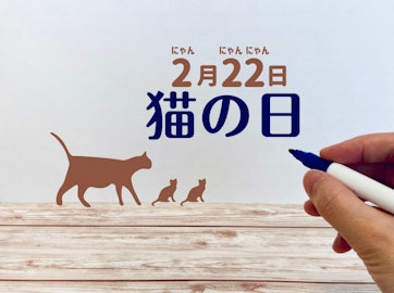 「LINEスタンプ・絵文字で＃猫の日を盛り上げよう！」 キャンペーン 2025年も売上の一部が、アニマル・ドネーションを通じて 猫の保護・福祉活動に役立てられます！のアイキャッチ画像