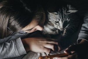 インスタグラム,SNS,ハッシュタグ,猫,キーワード