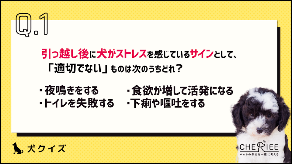 【クイズ】愛犬との引っ越し!新生活で気をつけるべきこととは?