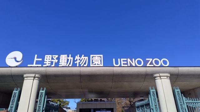 コツメカワウソ,ワシントン条約,種の保存法,エキゾチックアニマル,動物園,水族館