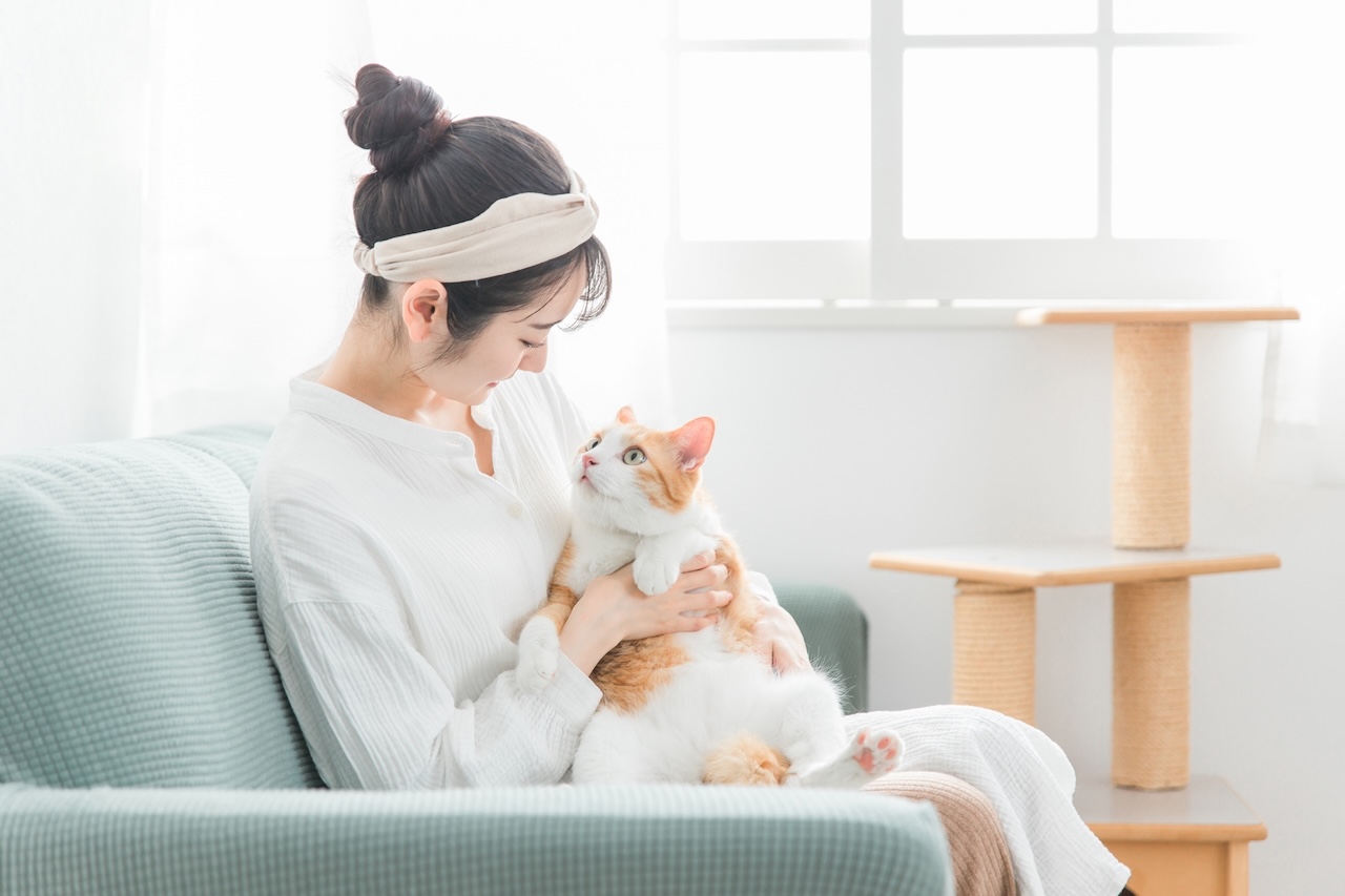 一人暮らしでも猫を飼いたい！飼い主さんも幸せに暮らす5つのコツ