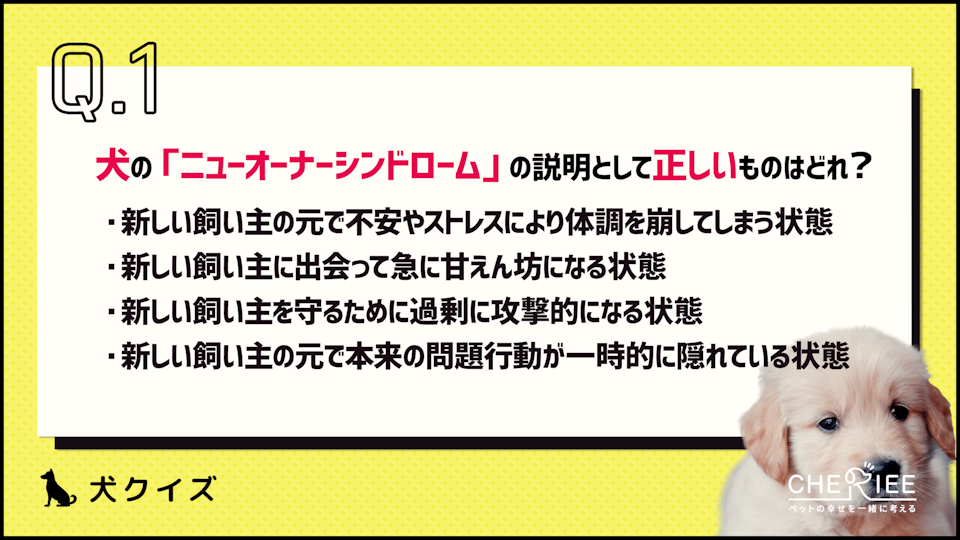 【クイズ】犬のニューオーナーシンドロームって何のこと?