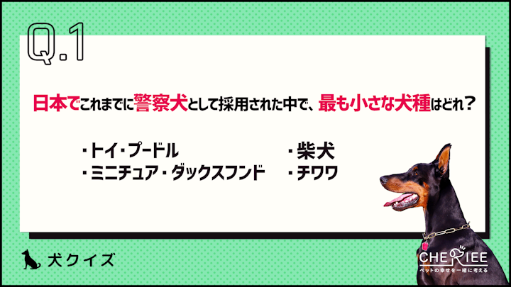【クイズ】思わず誰かに話したくなる！楽しい犬の雑学のアイキャッチ画像