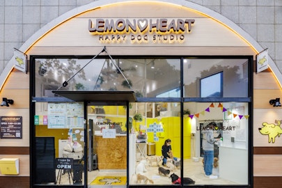 【東京・港区】愛犬の成長が感じ取れる犬のほいくえん「LEMON HEART」のアイキャッチ画像